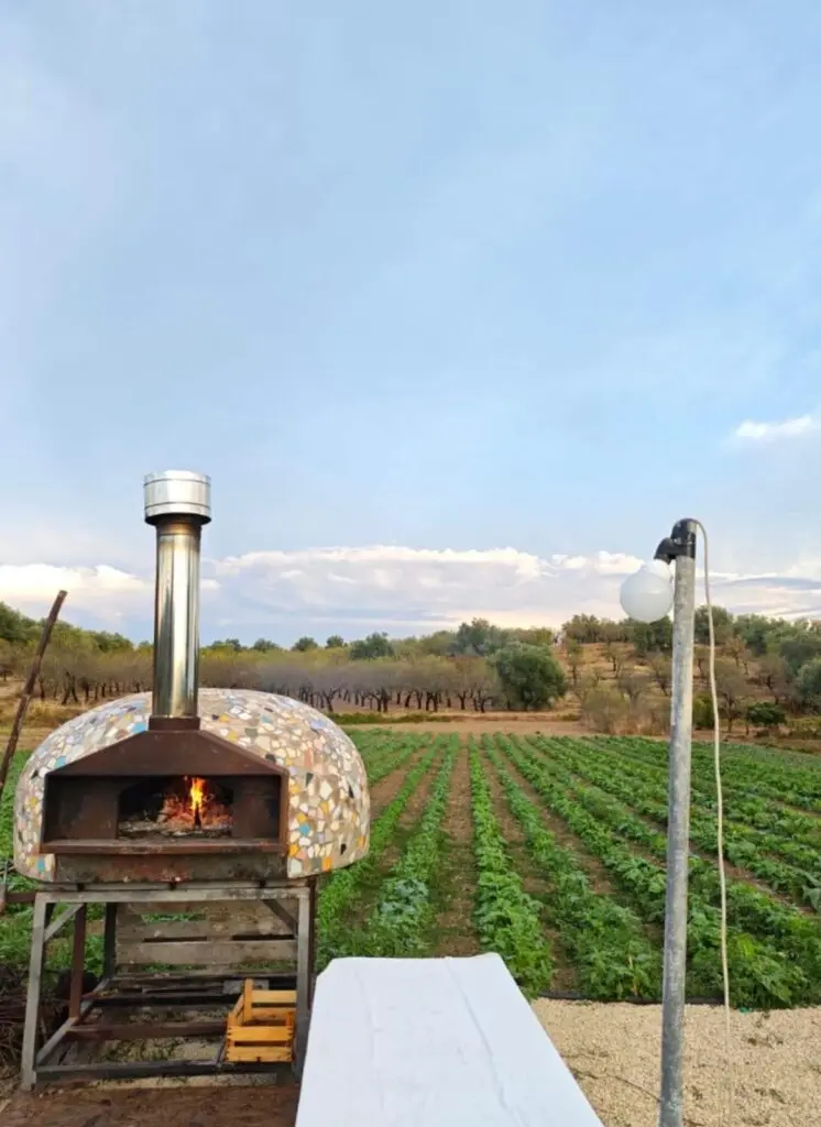 Caliafarm goes Noto — photo 3 of 3