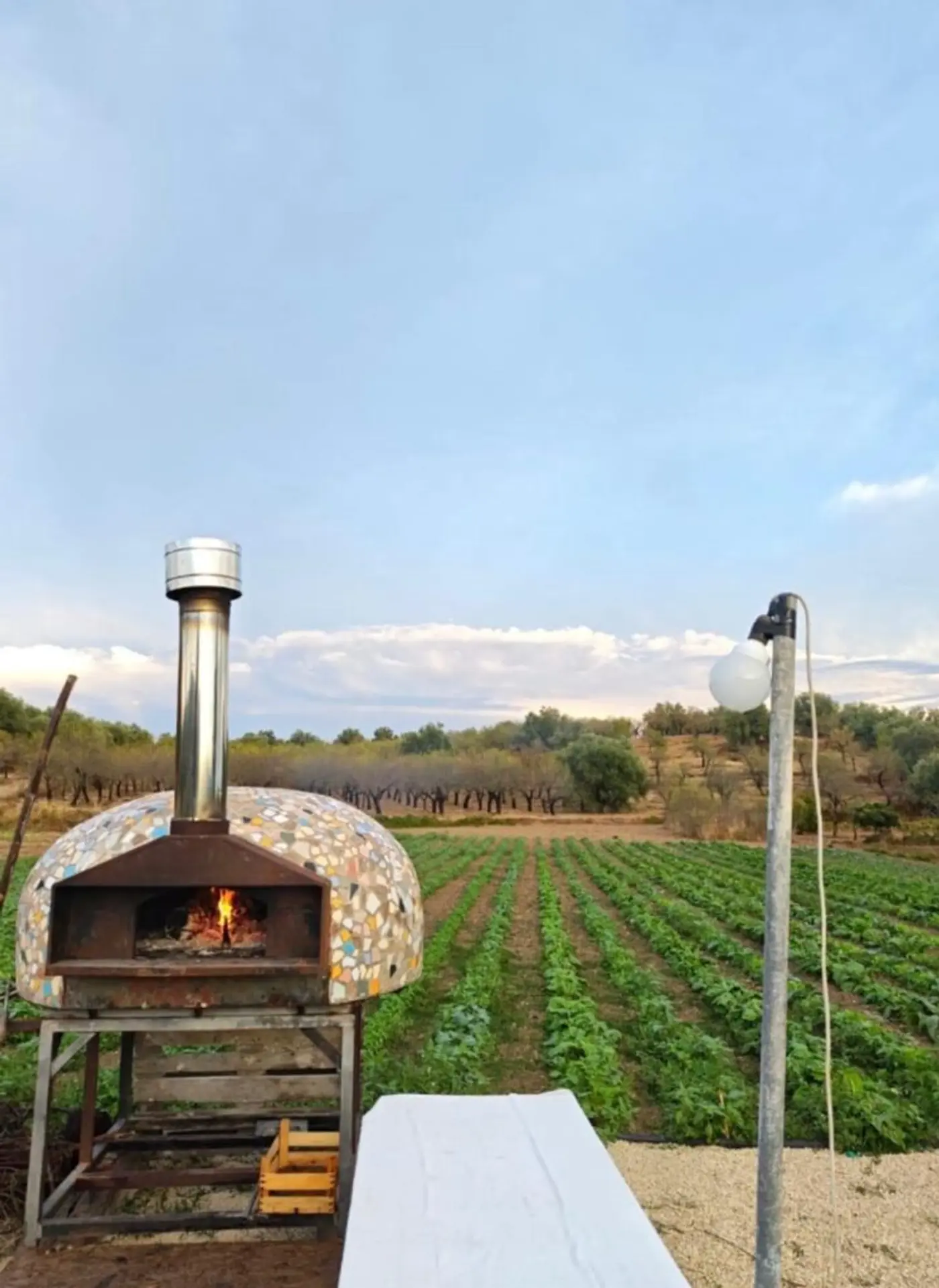 Caliafarm goes Noto — photo 3 of 3