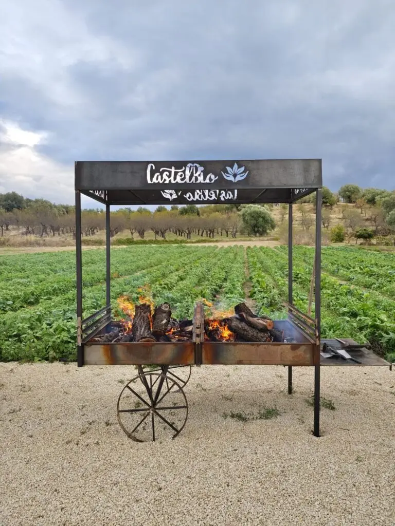 Caliafarm goes Noto — photo 2 of 3
