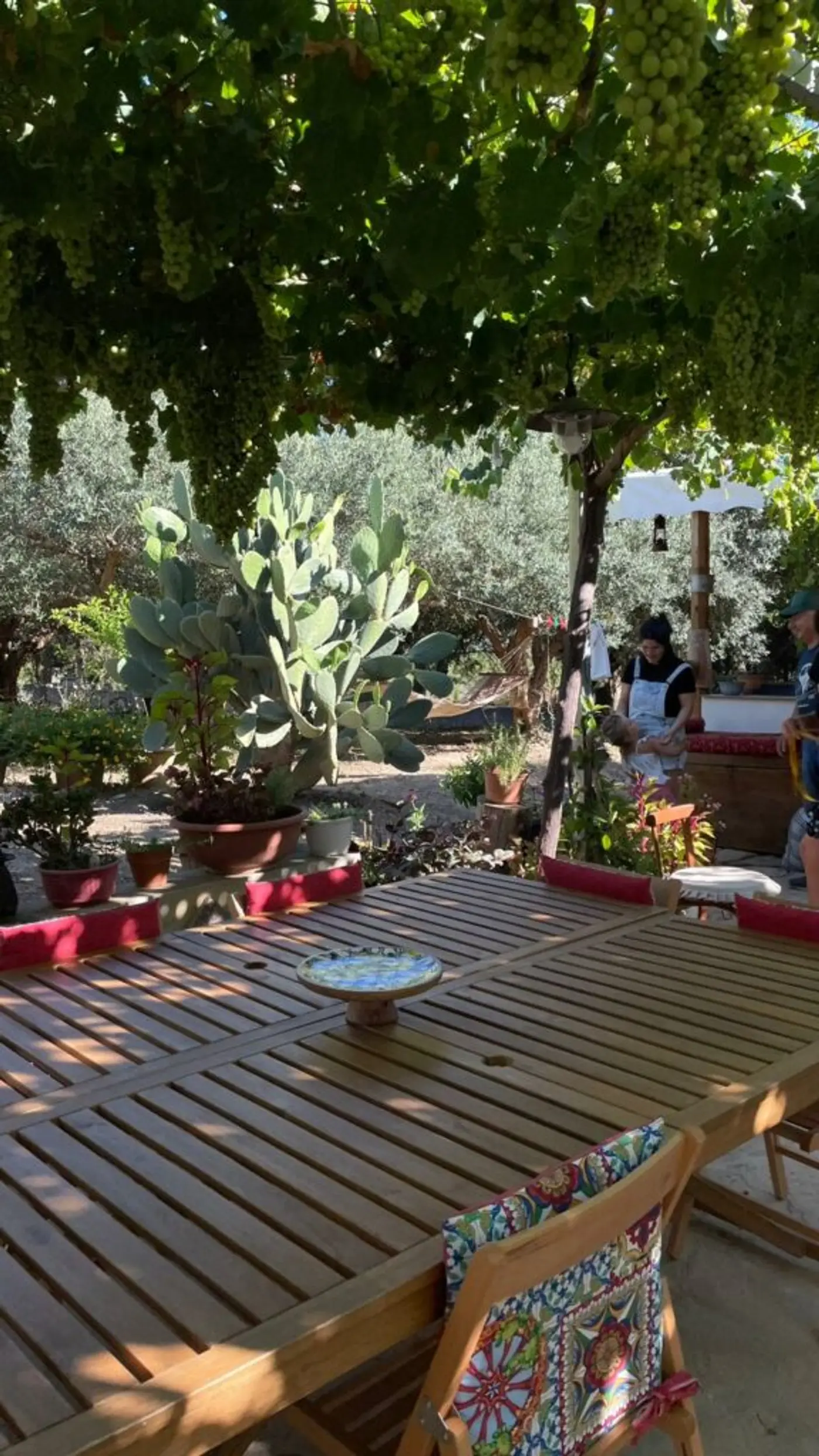 Full Experience: Cooking Dinner & Wine Tasting — photo 7 of 13