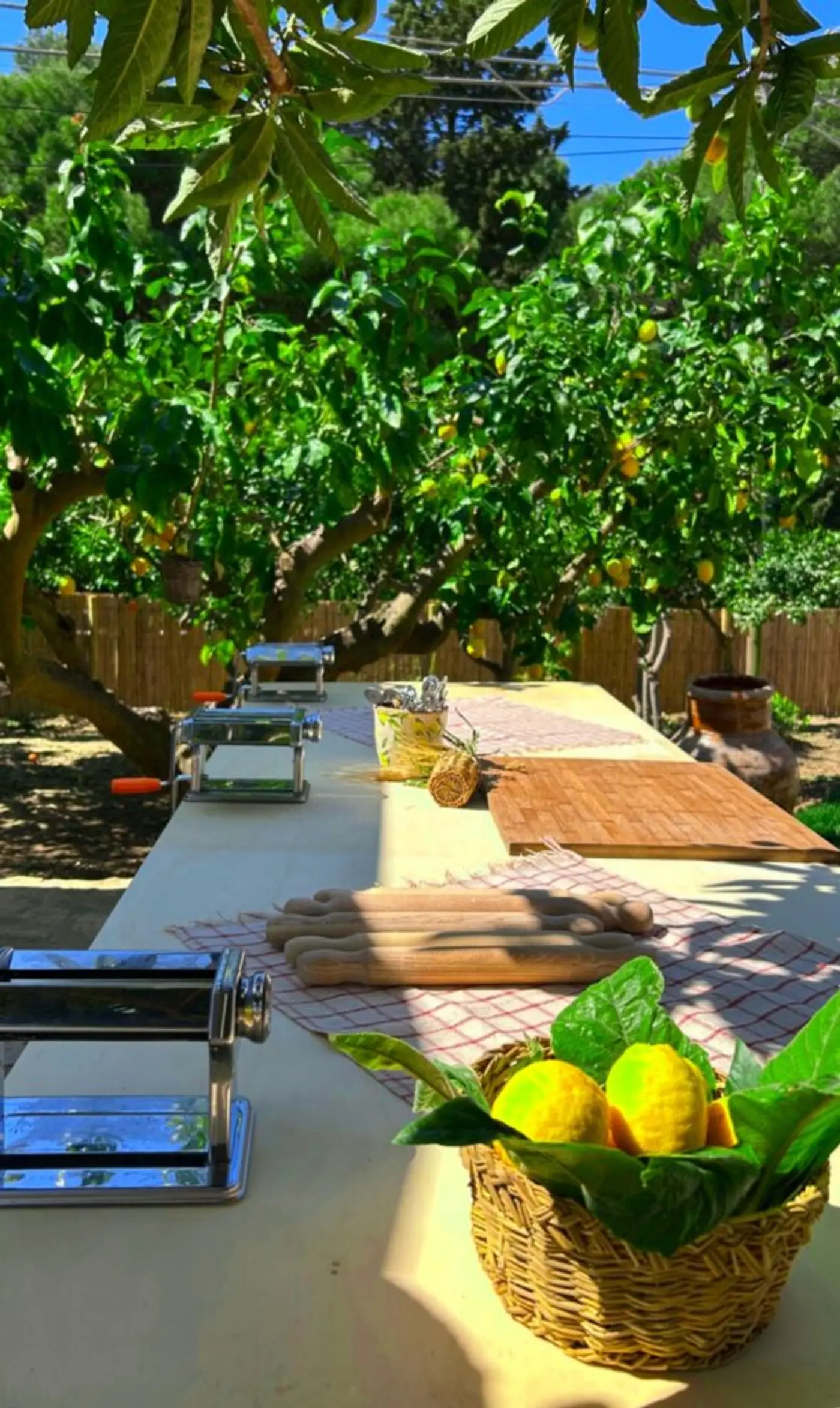 Full Experience: Cooking Dinner & Wine Tasting — photo 6 of 13