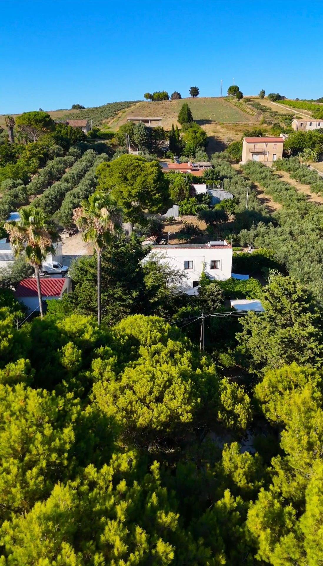 Aerial view of the Caliafarm countryside