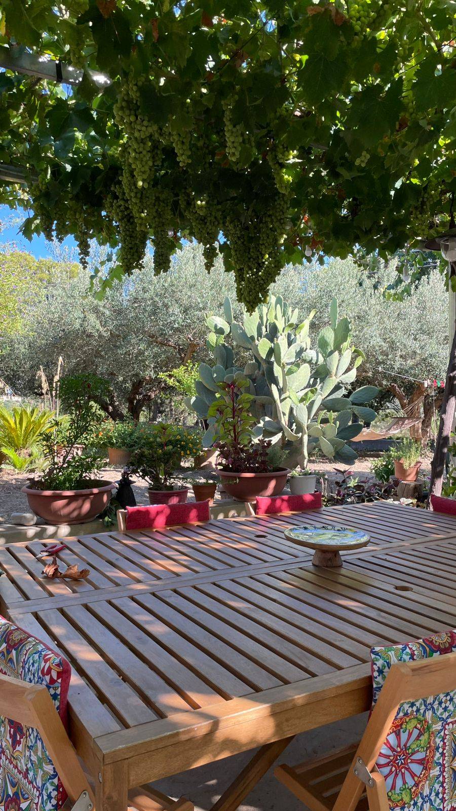 The dining table under the grape pergola at Caliafarm